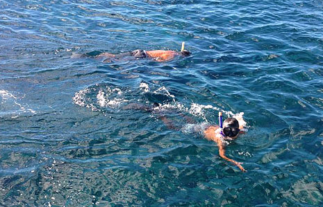 Snorkeling | Lanai Landing and Snorkel Tour