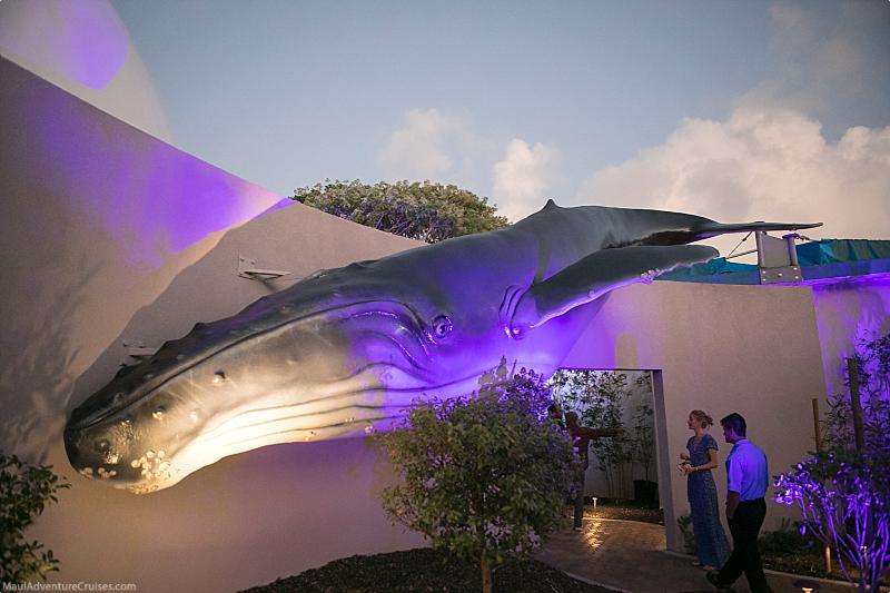 Maui Ocean Center Whale Statue
