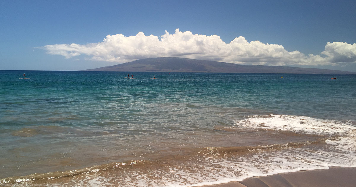 can-you-swim-from-maui-to-lanai-maui-adventure-cruises