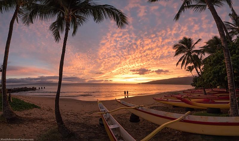 Swim Maui To Lanai Outrigger Canoes