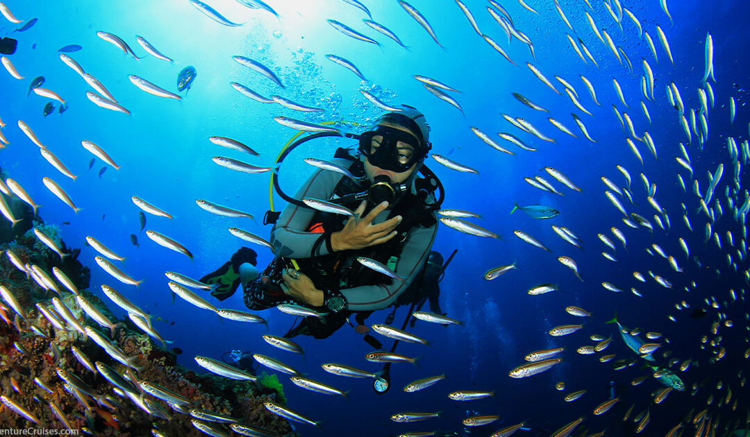 Maui vs Kauai Ocean Activities Scuba